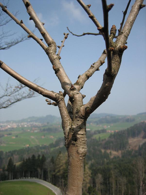 2010 04 17 B